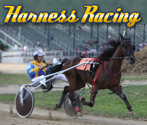 Harness Racing