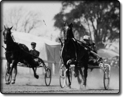 Harness Racing at the Fair