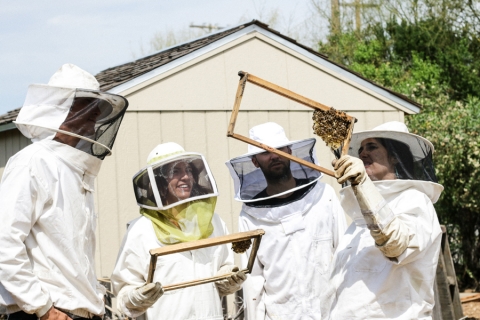Keeping Bees in My Backyard - Beekeeping Keeping Bees in My Backyard - Beekeeping
