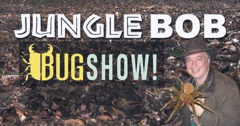 Jungle Bob Tuma Bug Show
