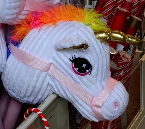 Junior Fair Stick Pony Contest