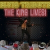 Brian Brenner Elvis Tribute